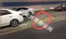 梅州车祸爆料新闻最新,悲剧现场细节披露，伤亡情况引关注